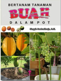 Image of Bertanam Tanaman Buah Dalam pot