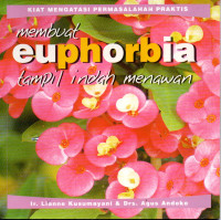 Image of Membuat euphorbia tampil indah menawan