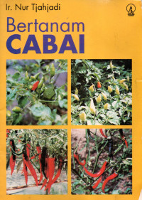 Image of Bertanam Cabai